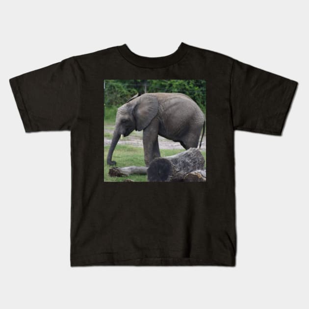 African Elephant Kids T-Shirt by Sharonzoolady